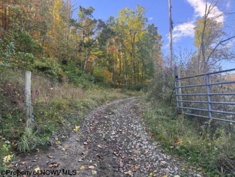 0 Channell Road Mill Creek WV 26280