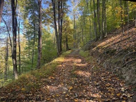 0 Channell Road Mill Creek WV 26280