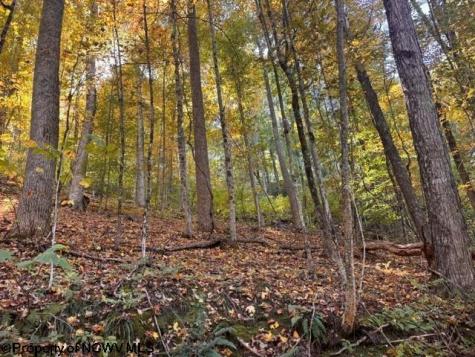 0 Channell Road Mill Creek WV 26280