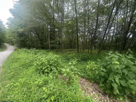 153 Windflower Drive Terra Alta WV 26764
