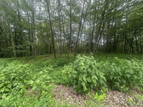 153 Windflower Drive Terra Alta WV 26764
