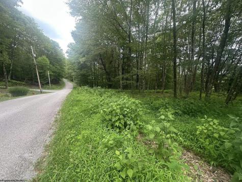153 Windflower Drive Terra Alta WV 26764