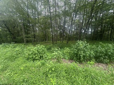153 Windflower Drive Terra Alta WV 26764
