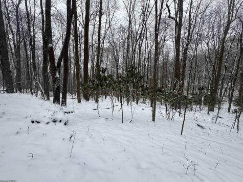 0 Abiguchee Lane Richwood WV 26261