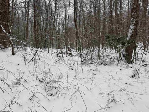 0 Abiguchee Lane Richwood WV 26261
