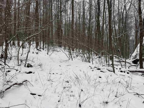 0 Abiguchee Lane Richwood WV 26261