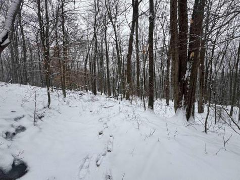 0 Abiguchee Lane Richwood WV 26261