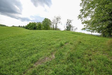 1 Saint Francis Way Bridgeport WV 26330