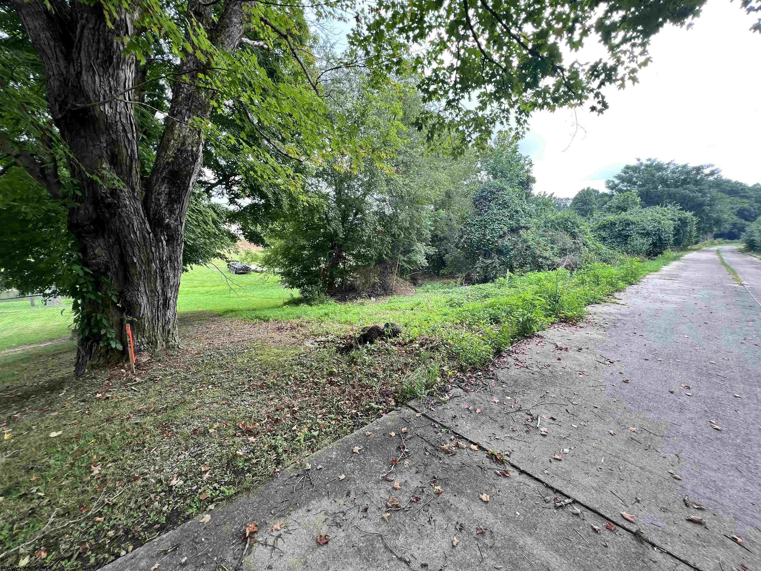 37 Birch Street Grafton WV 26354