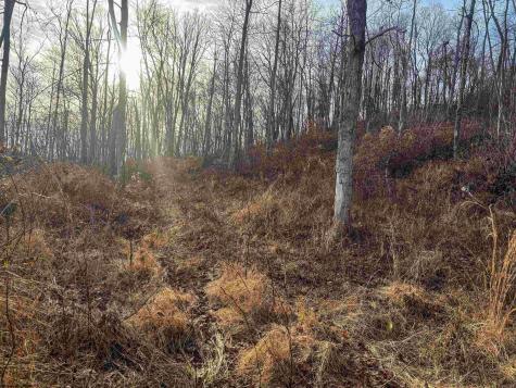 1 River Run Road Fairmont WV 26554