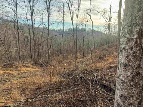1 River Run Road Fairmont WV 26554