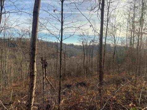 1 River Run Road Fairmont WV 26554