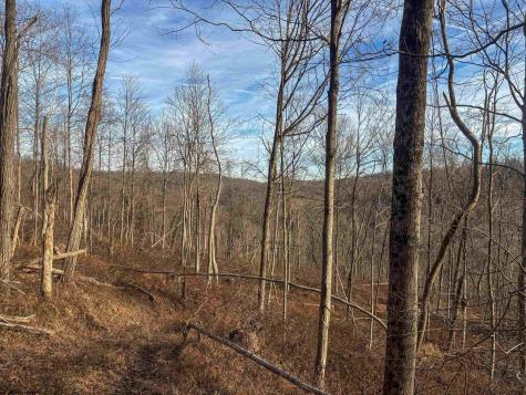 1 River Run Road Fairmont WV 26554