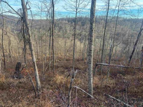 1 River Run Road Fairmont WV 26554