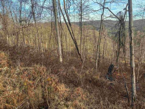 1 River Run Road Fairmont WV 26554