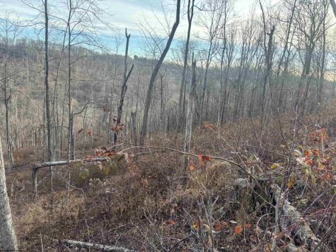 1 River Run Road Fairmont WV 26554