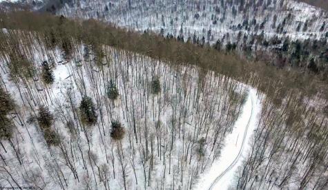 4 Trailwood Circle Bruceton Mills WV 26525