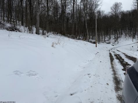 4 Trailwood Circle Bruceton Mills WV 26525