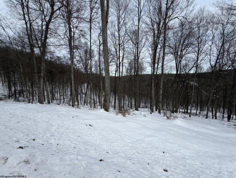 4 Trailwood Circle Bruceton Mills WV 26525