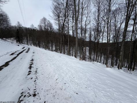 4 Trailwood Circle Bruceton Mills WV 26525