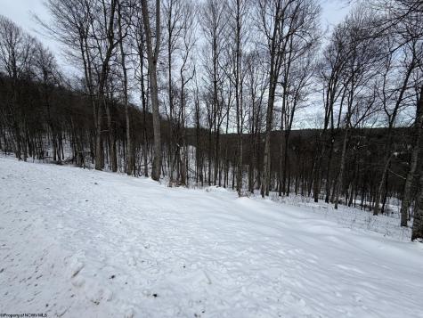 4 Trailwood Circle Bruceton Mills WV 26525