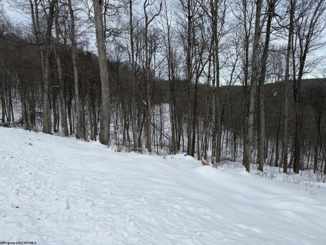 4 Trailwood Circle Bruceton Mills WV 26525