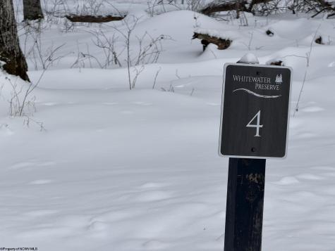 4 Trailwood Circle Bruceton Mills WV 26525