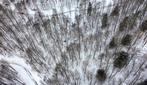 4 Trailwood Circle Bruceton Mills WV 26525