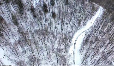 4 Trailwood Circle Bruceton Mills WV 26525