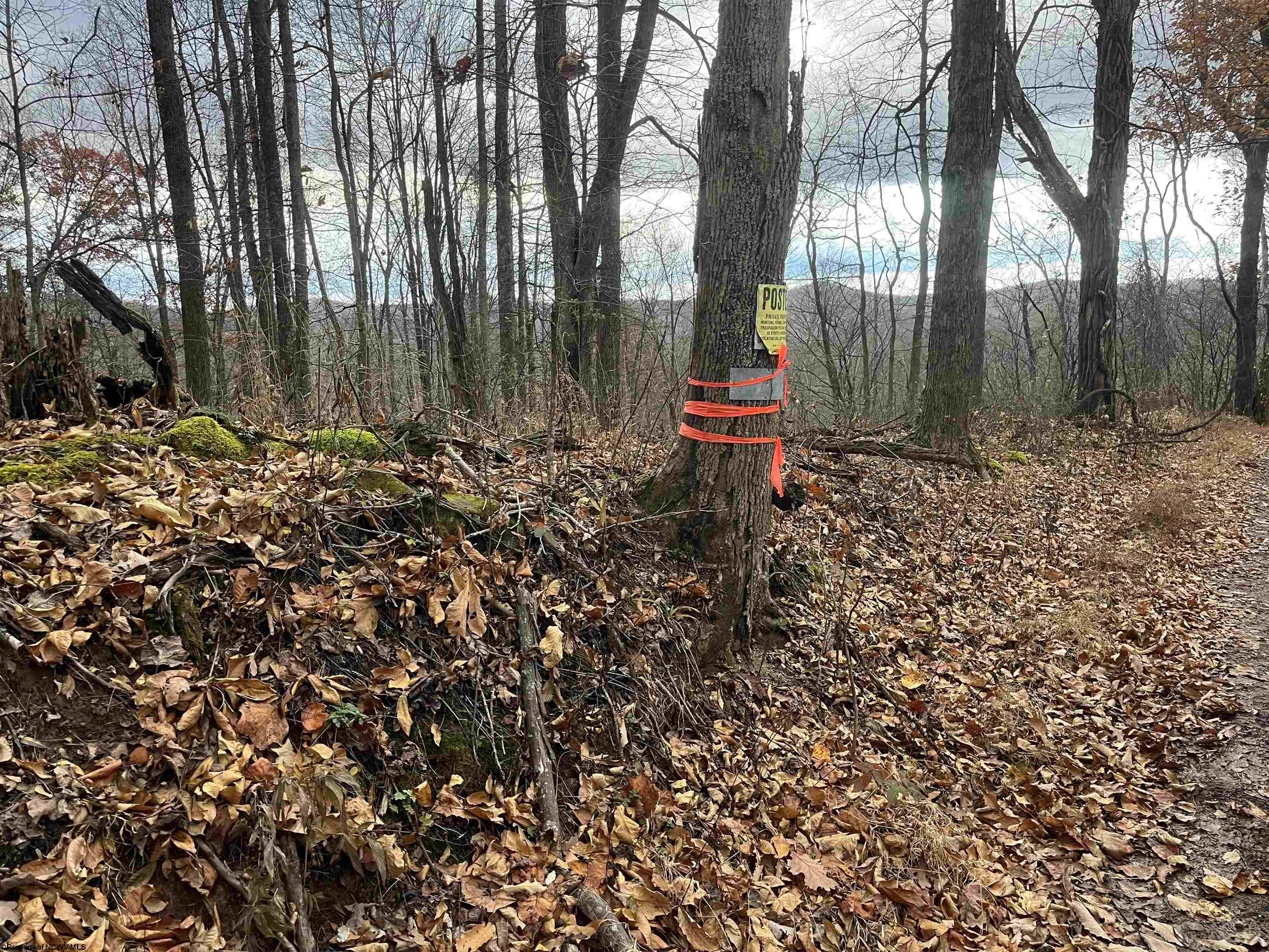 0 Crawford Road Crawford WV 26343