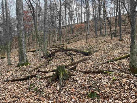 0 Crawford Road Crawford WV 26343