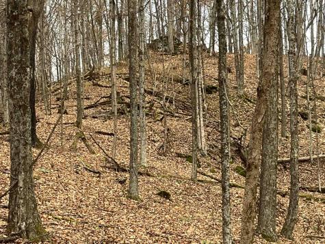 0 Crawford Road Crawford WV 26343