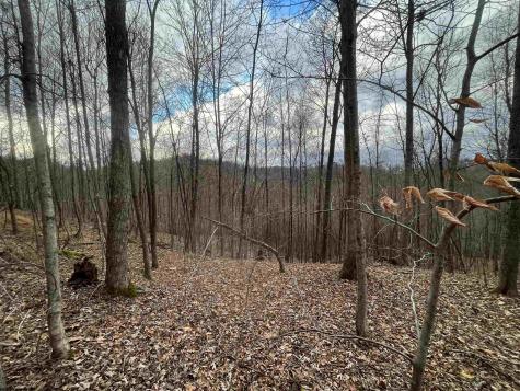 0 Crawford Road Crawford WV 26343