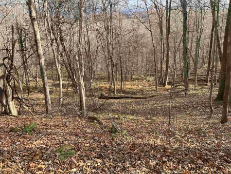 0 Crawford Road Crawford WV 26343