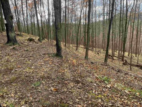 0 Crawford Road Crawford WV 26343