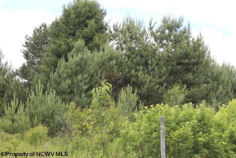 0 Cortland Road Davis WV 26260