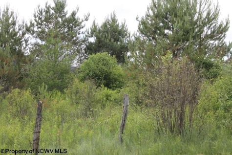 0 Cortland Road Davis WV 26260