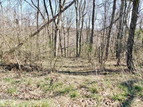 0 Longhorn Lane Morgantown WV 26508