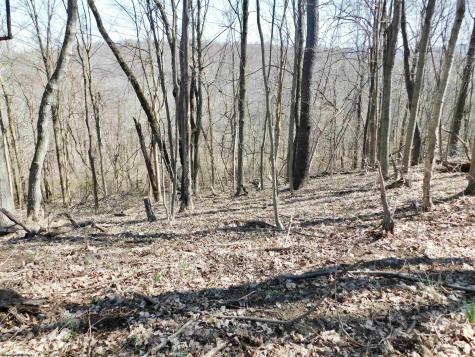 0 Longhorn Lane Morgantown WV 26508