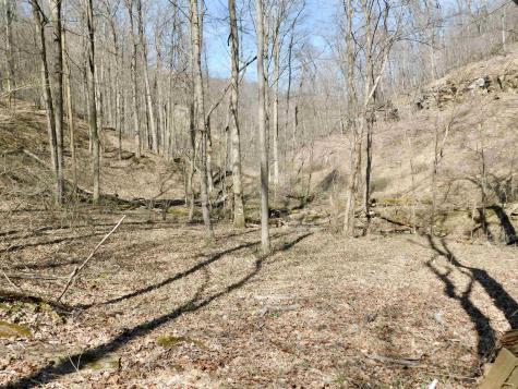 0 Longhorn Lane Morgantown WV 26508