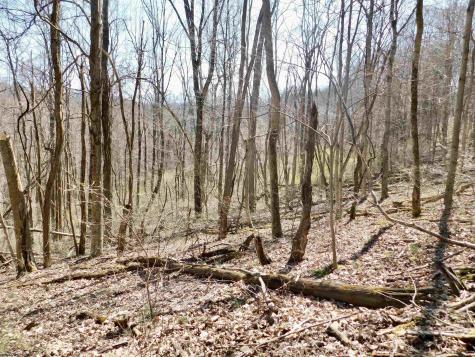 0 Longhorn Lane Morgantown WV 26508