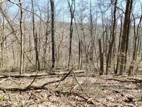 0 Longhorn Lane Morgantown WV 26508