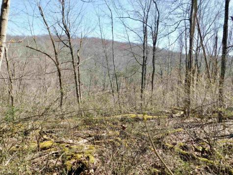 0 Longhorn Lane Morgantown WV 26508