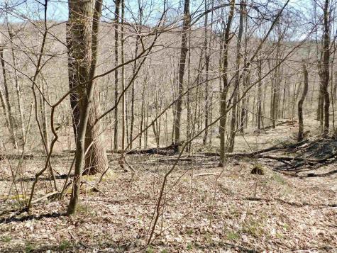 0 Longhorn Lane Morgantown WV 26508