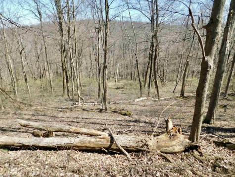 0 Longhorn Lane Morgantown WV 26508