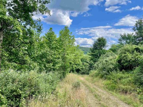 0 O'brian Road Duck WV 25063