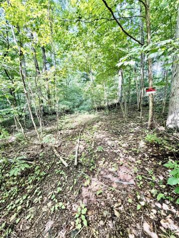 212 Stoney Lane Morgantown WV 26508