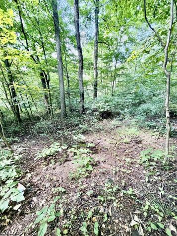 212 Stoney Lane Morgantown WV 26508