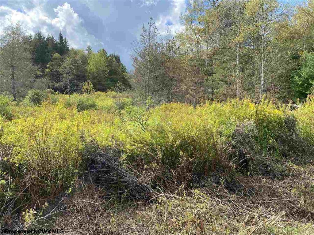 47 Mountain View Drive Davis WV 26260