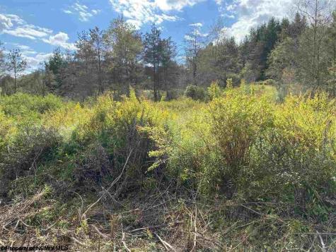 47 Mountain View Drive Davis WV 26260